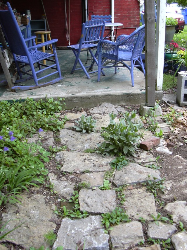 back patio w columbine